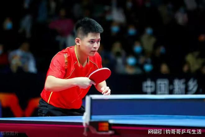 引起了球迷 引起了球迷