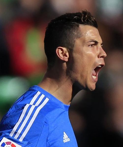 仅反映了双 仅反映了双