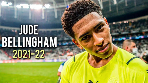 的形式提供 的形式提供